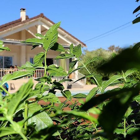 Maison Les Coquelicots Лион Экстерьер фото