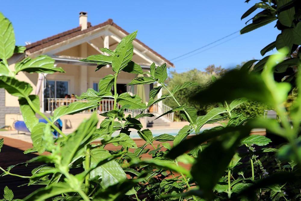 Maison Les Coquelicots Лион Экстерьер фото
